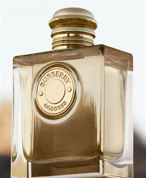 burberry goddess perfume macy's.